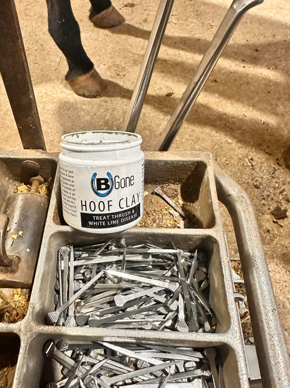 B Gone Hoof Clay whiteline disease: gentle coverage for affected hoof lines.