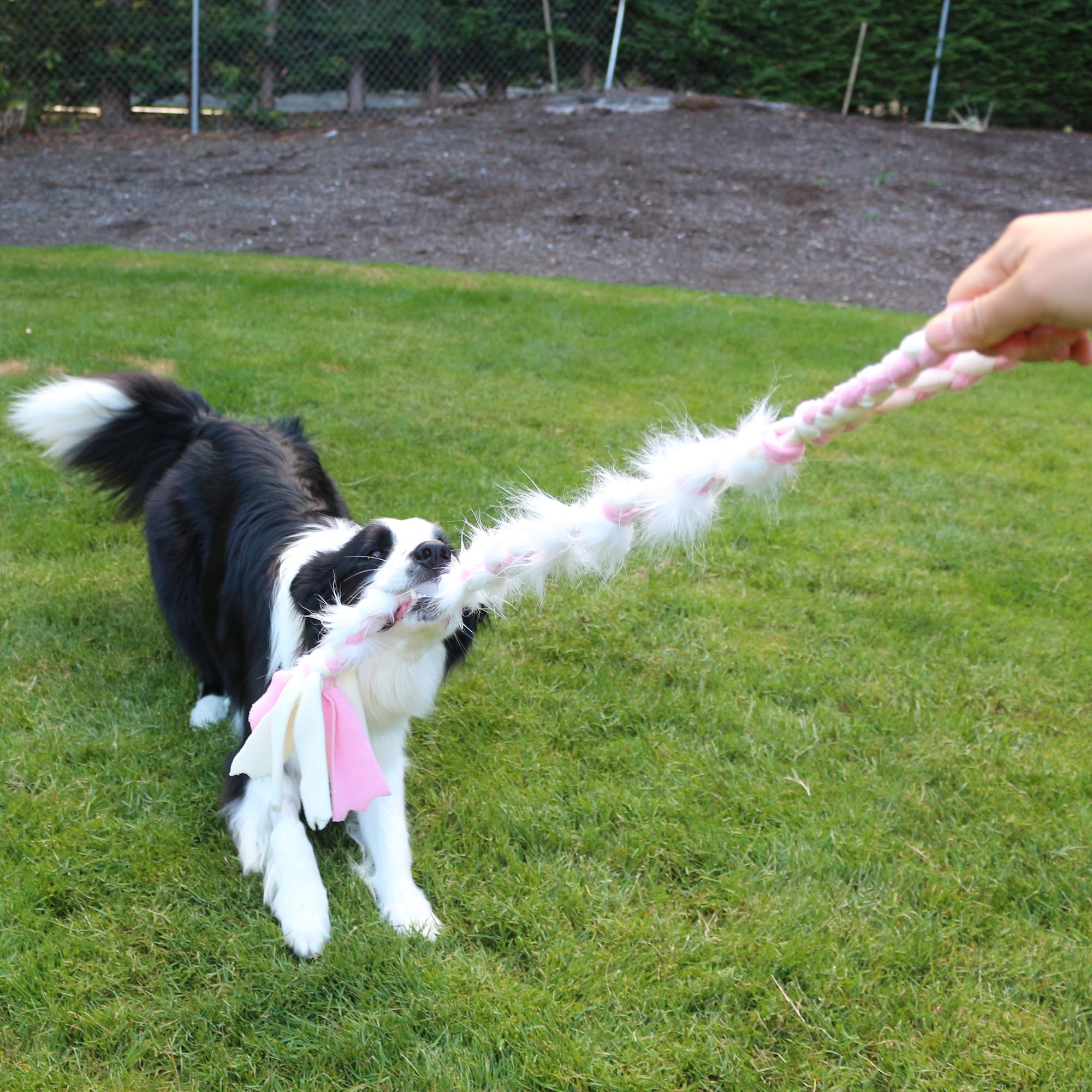 Baba&Nana blue dog playtime tug toy for engagement