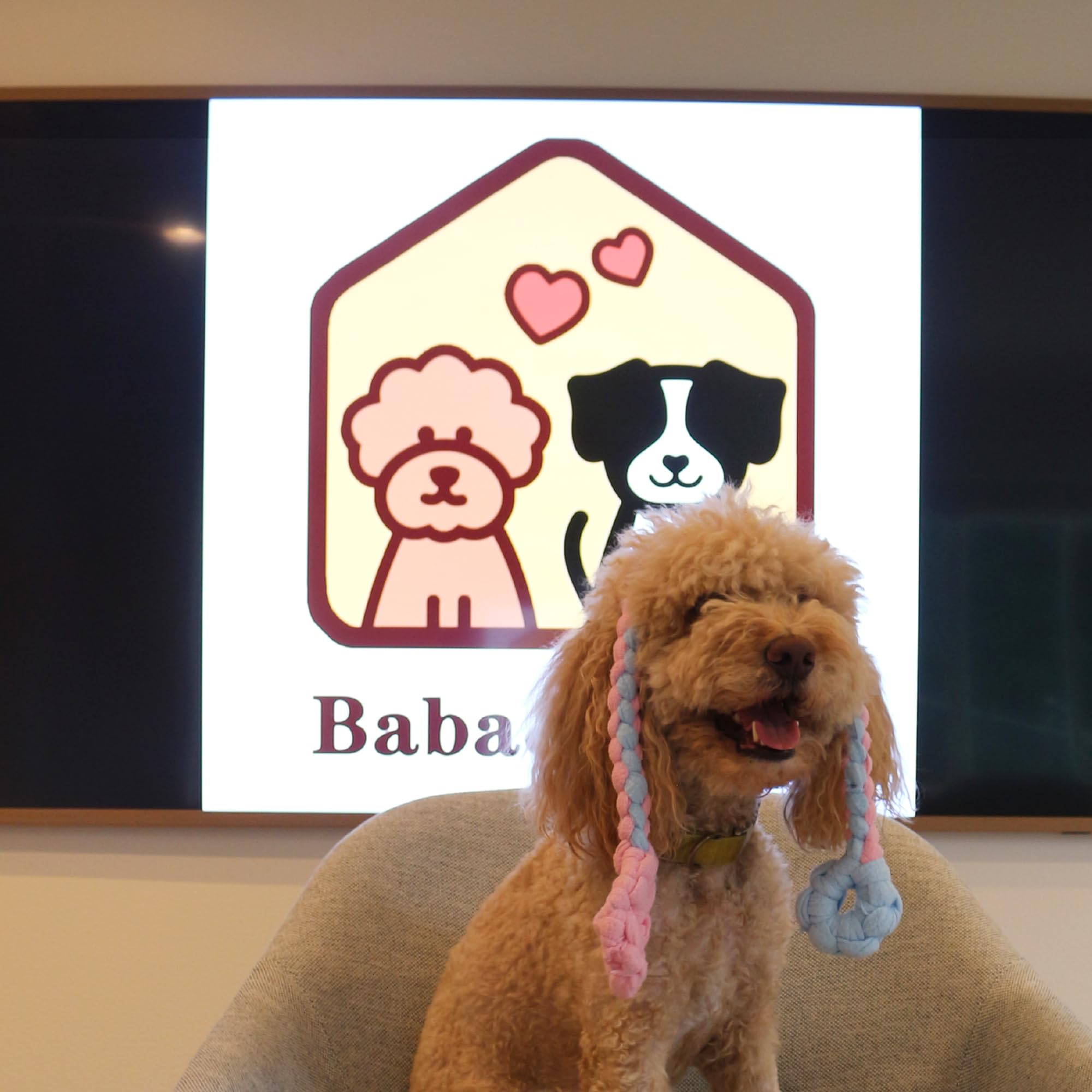 Baba&Nana handmade dog toy in blue for bonding