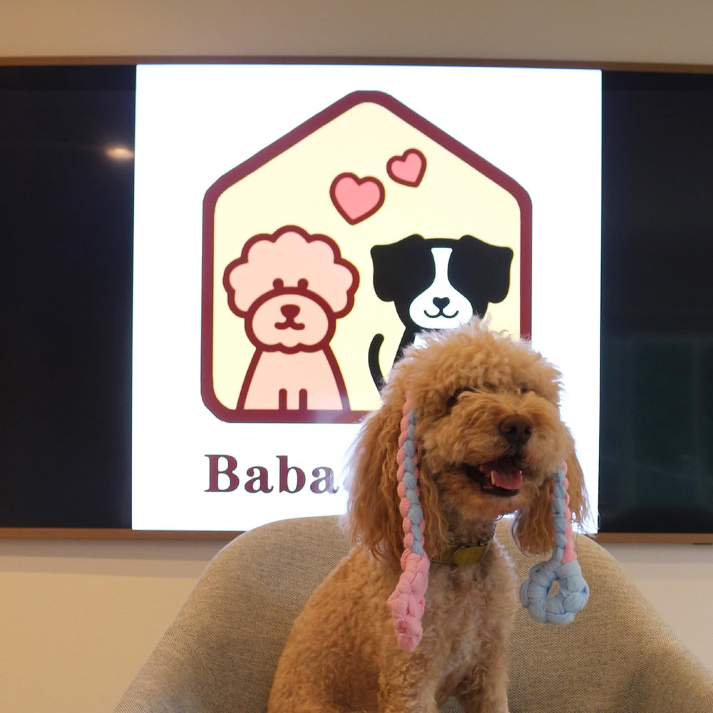 Baba&Nana handmade dog toy in blue for bonding