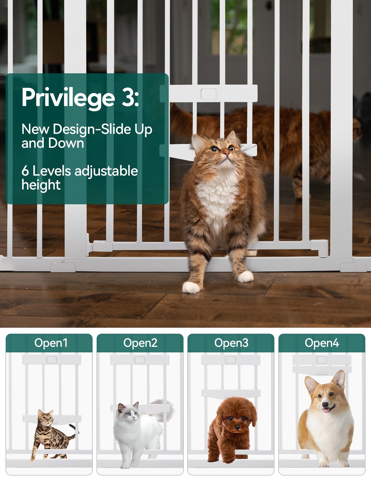 Babelio auto-close two-way swing gate in action for busy households