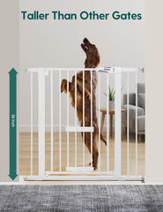 Babelio cat door detail showing the sliding lock for small pets