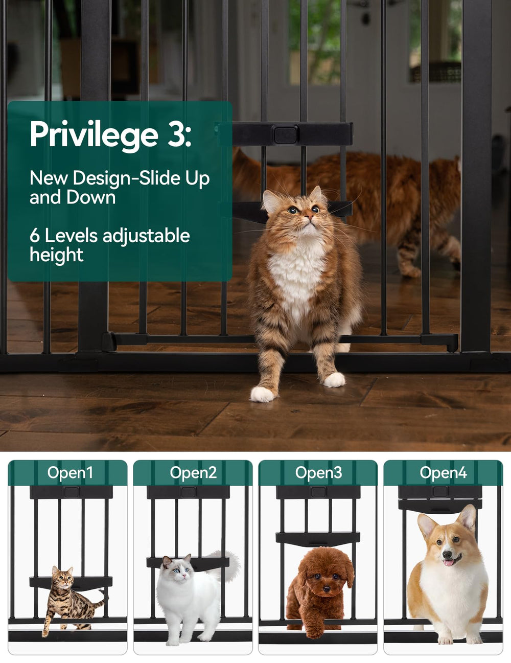 Babelio cat door upgrade enables small pets to pass through safely.