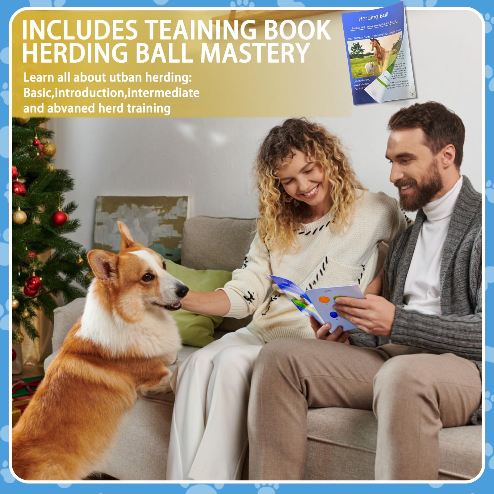 BabieDtOyG dual-layer ball close-up highlighting durability for dogs