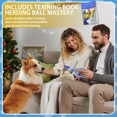 BabieDtOyG dual-layer ball close-up highlighting durability for dogs