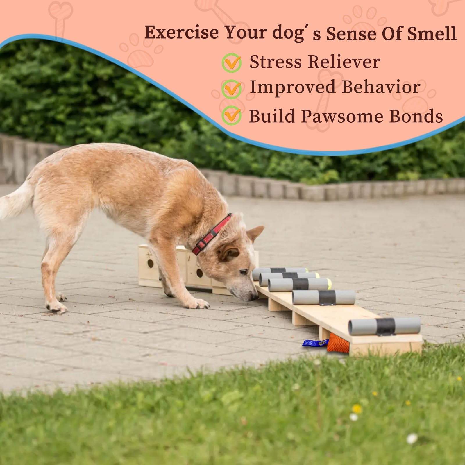BabieDtOyG beginner-friendly portable design for on-the-go nose work.