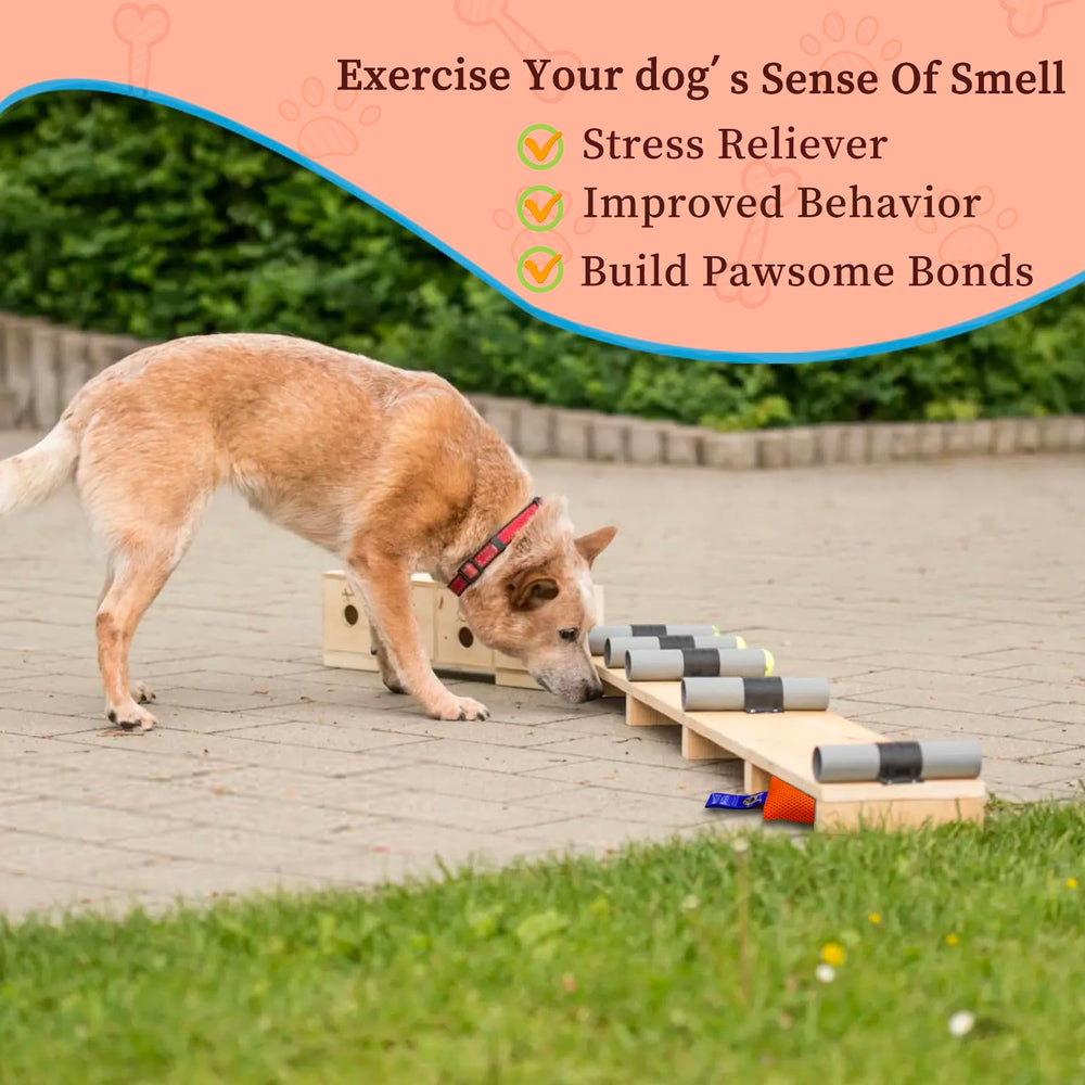 BabieDtOyG beginner-friendly portable design for on-the-go nose work.