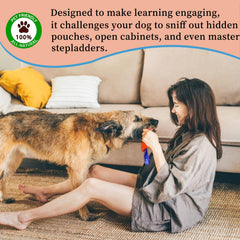 BabieDtOyG brain games sniff and seek boosts dog mental engagement.