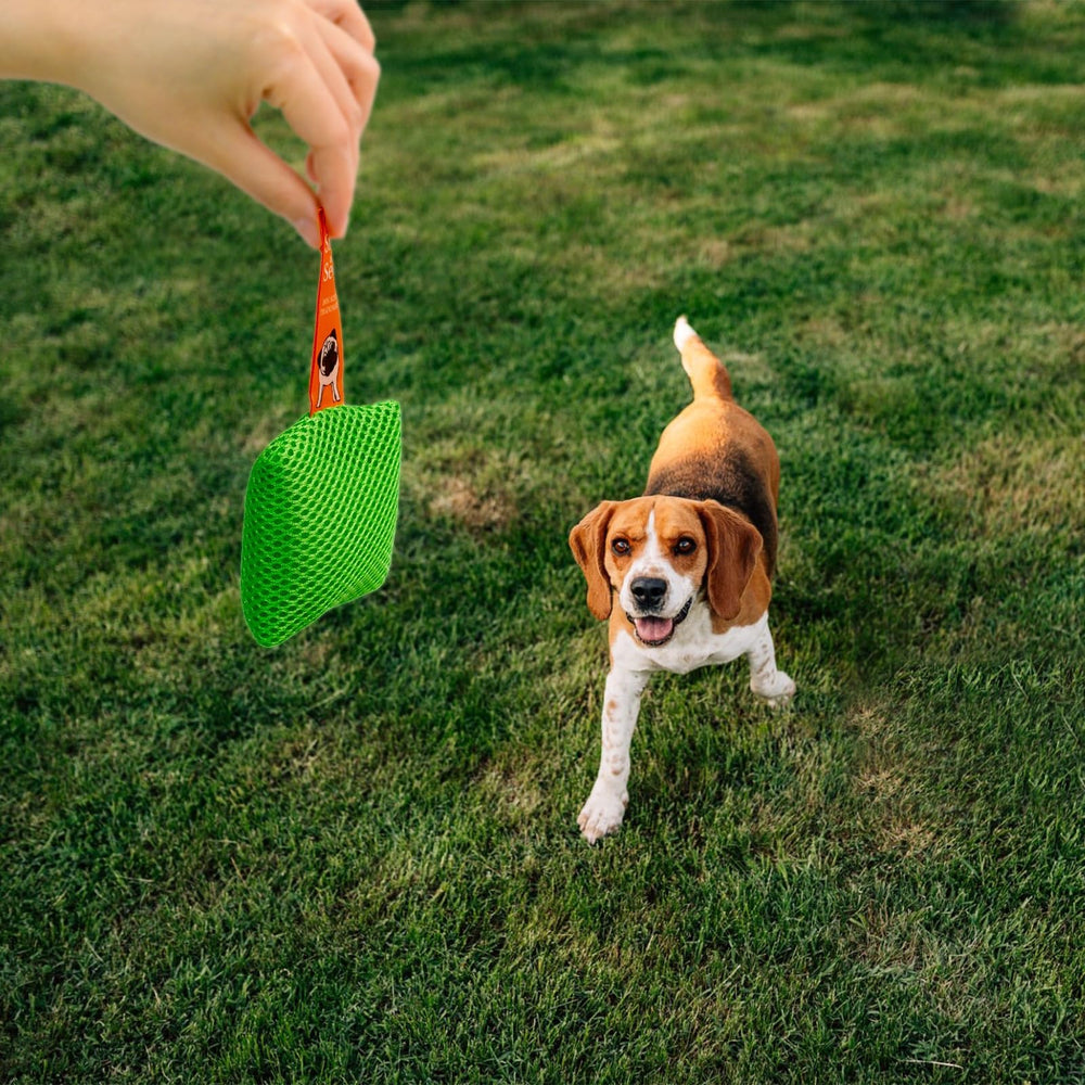 BabieDtOyG gift box presentation suggests ready-to-play dog scent activities.