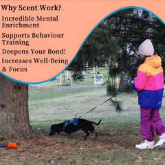 BabieDtOyG safe natural anise seed scent for scent work.