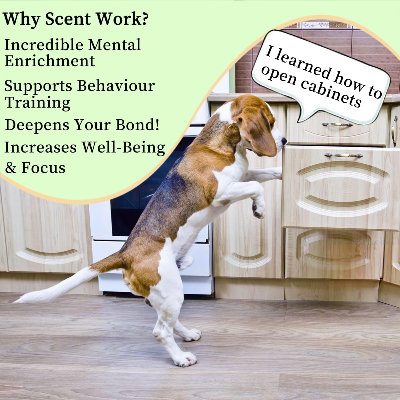 BabieDtOyG six-scent pouches display convenient packaging for on-the-go scent exploration.