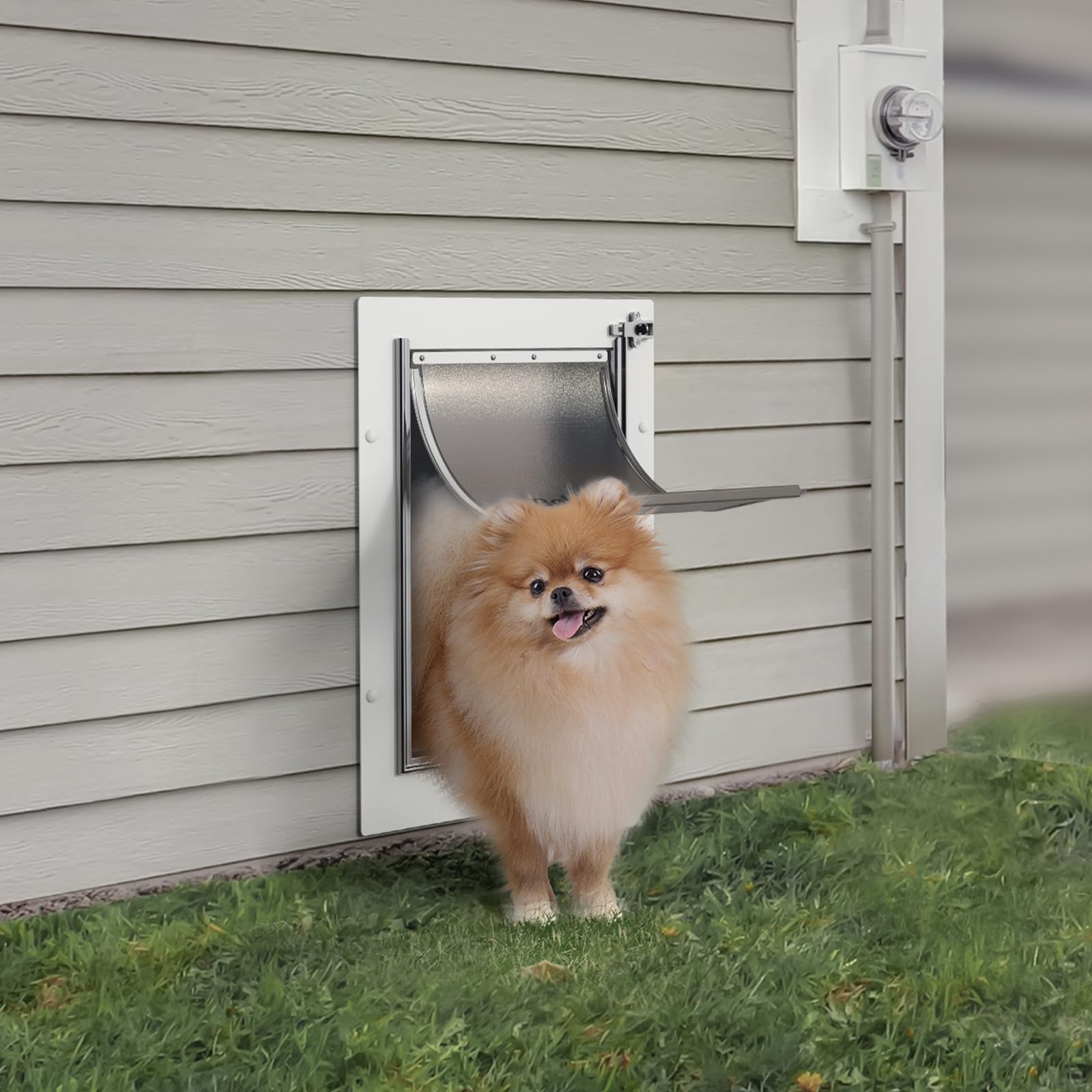 Baboni easy-install pet door with step-by-step guide for any wall.