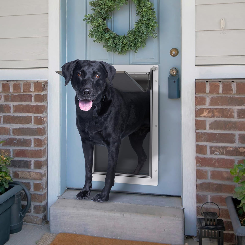 Baboni easy-install pet door shown with wall-to-door alignment