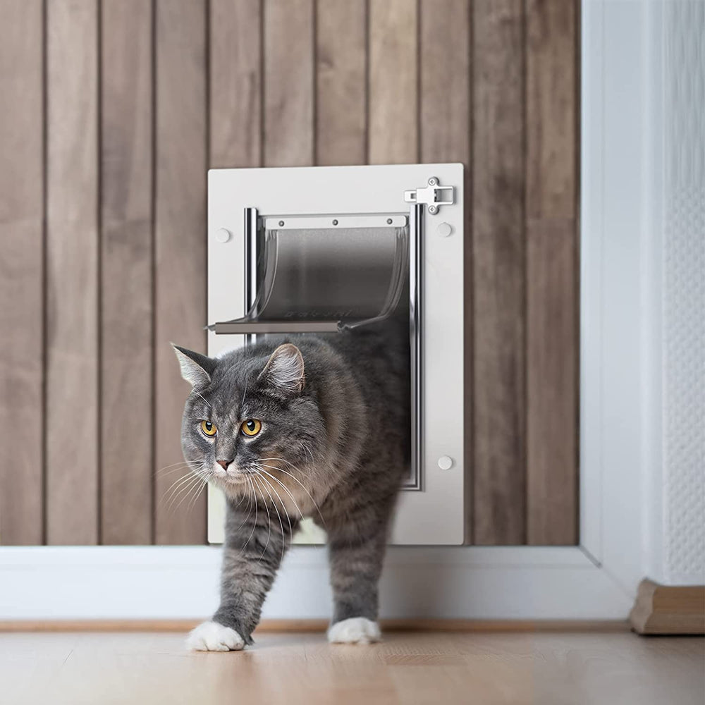 Compact small-size door ideal for cozy pet homes