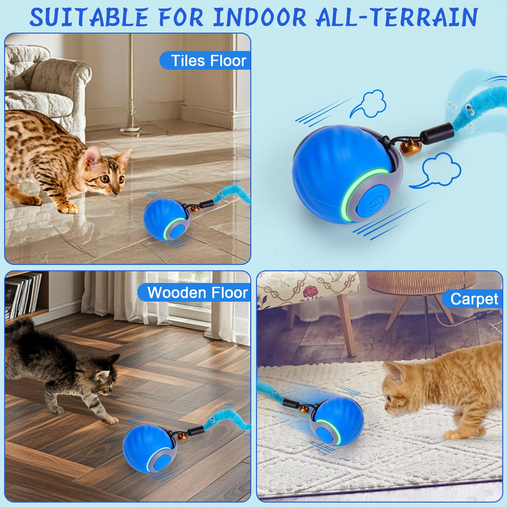 BABORUI durable design supports long-lasting use during indoor cat games.