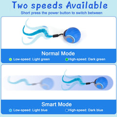 BABORUI triple-tail cat toy in action for engaging indoor play on carpet.