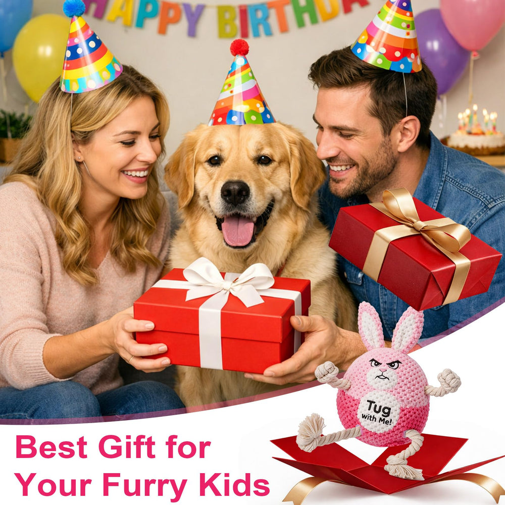 BABORUI easy to use Easter dog toy with quick mode switching.
