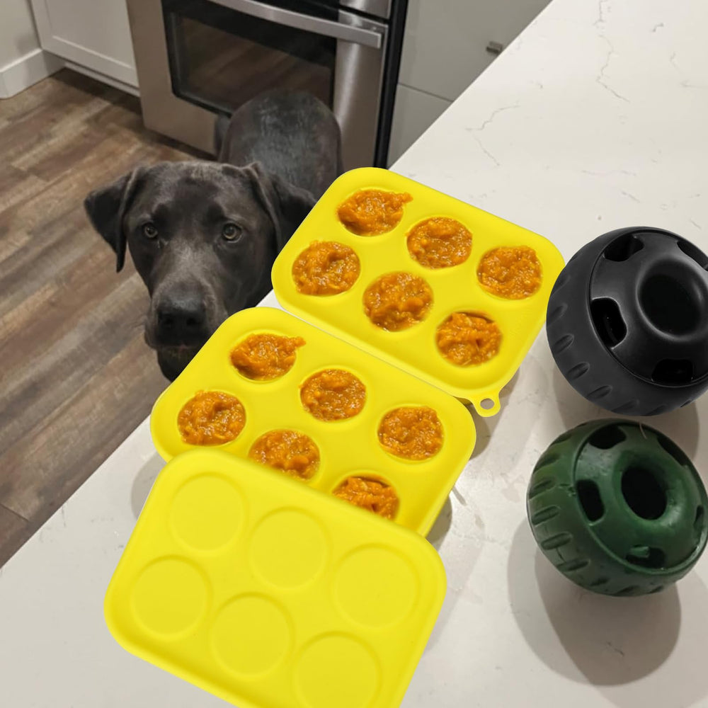 BABORUI multi-dog layout demonstrates shared freezer-friendly treat trays.