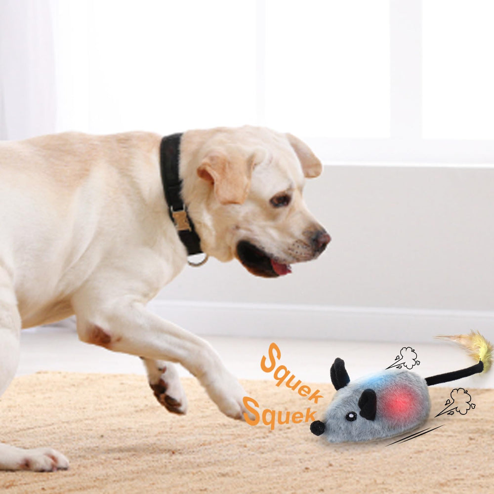 BABORUI mouse interactive dog toy auto-turn offers unpredictable exercise.