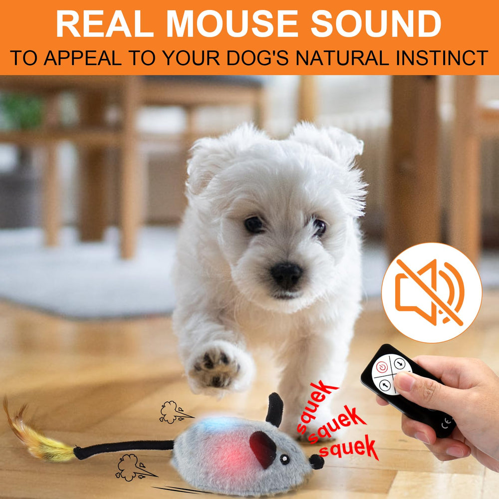BABORUI rechargeable dog toy for floor play keeps sessions cordless.