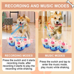 BABORUI rechargeable moving dog toy for extended play sessions