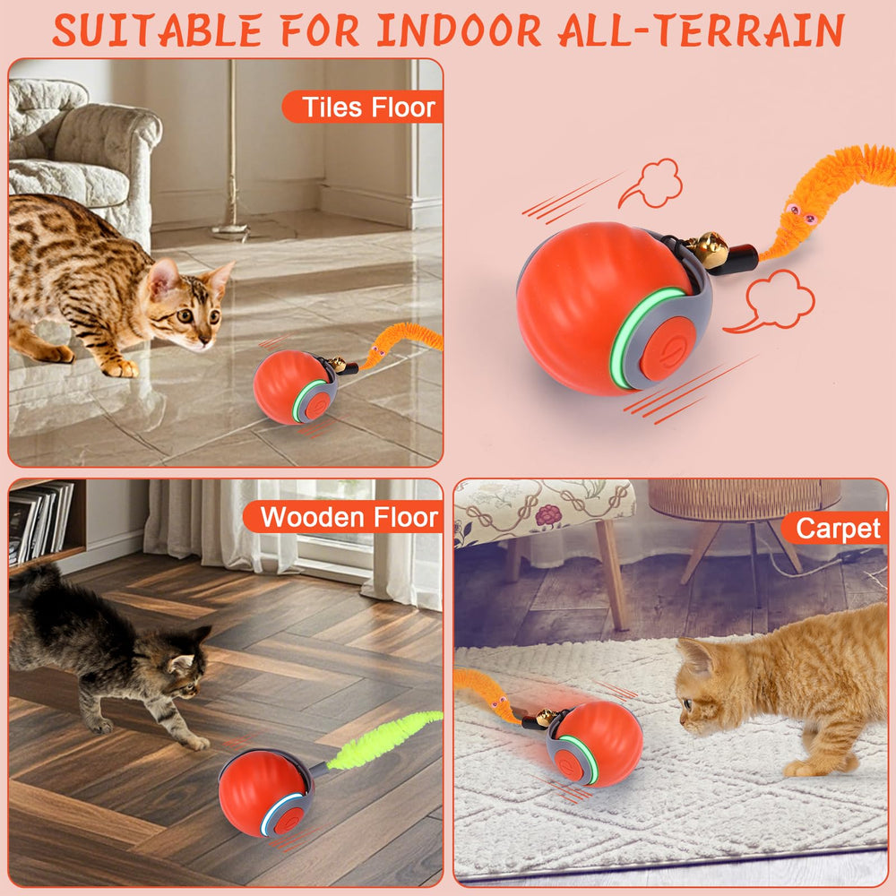 BABORUI safe silicone shell visible for durable pet-safe toy