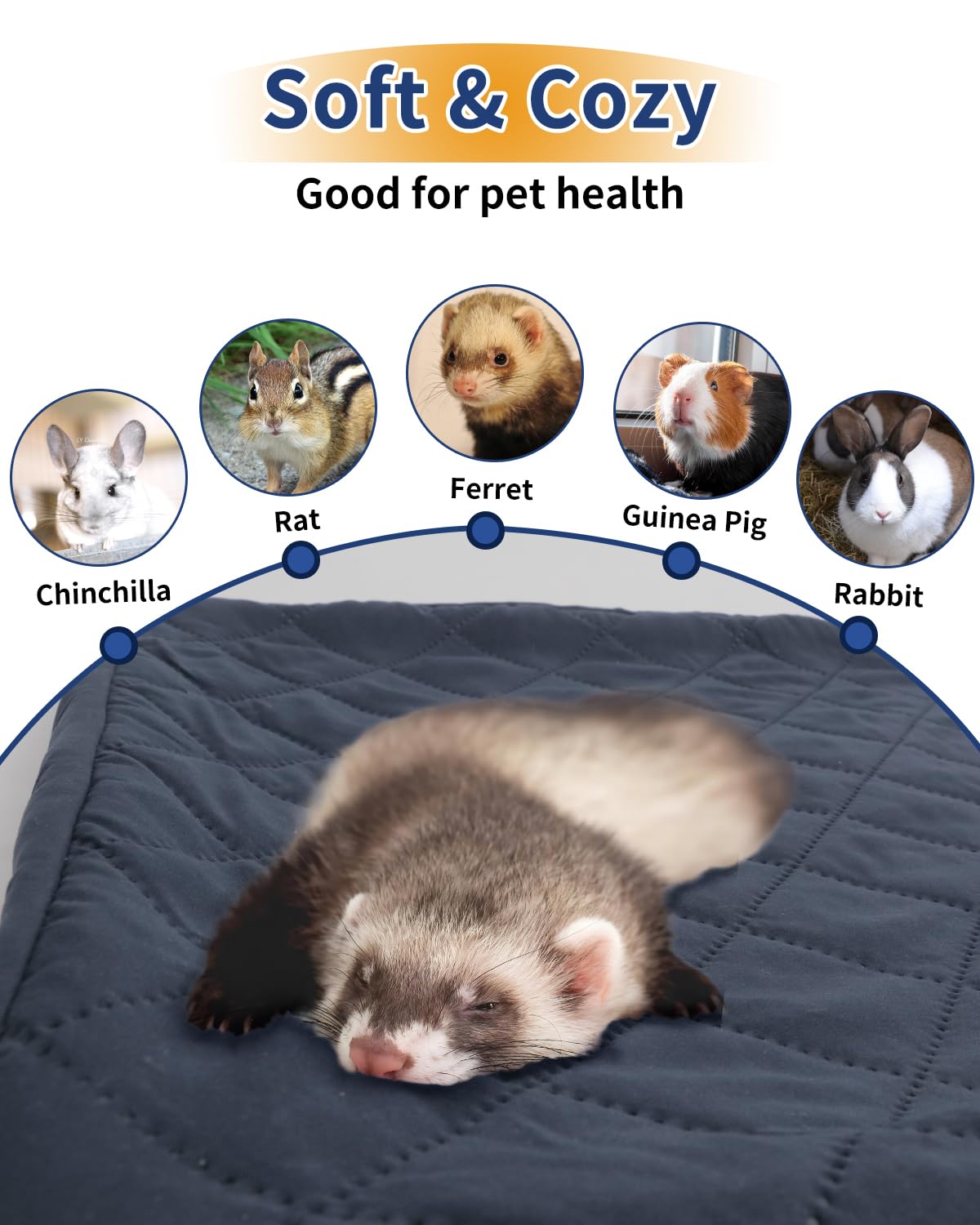 Babvl plush gridded fleece provides a soft, warm surface for tiny paws.