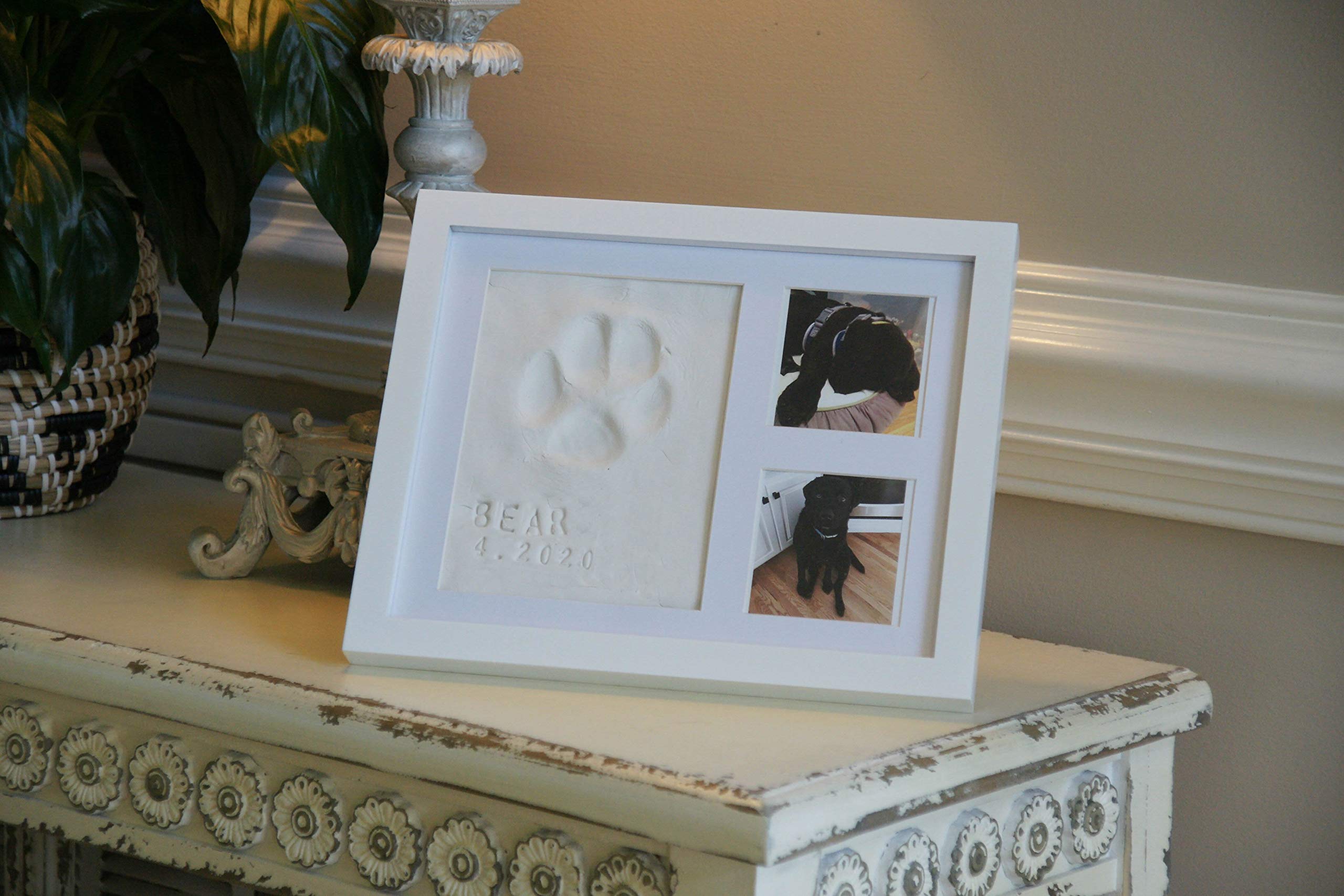 Baby Mushroom photo-ready frame highlights your favorite pet photo beside the paw print.