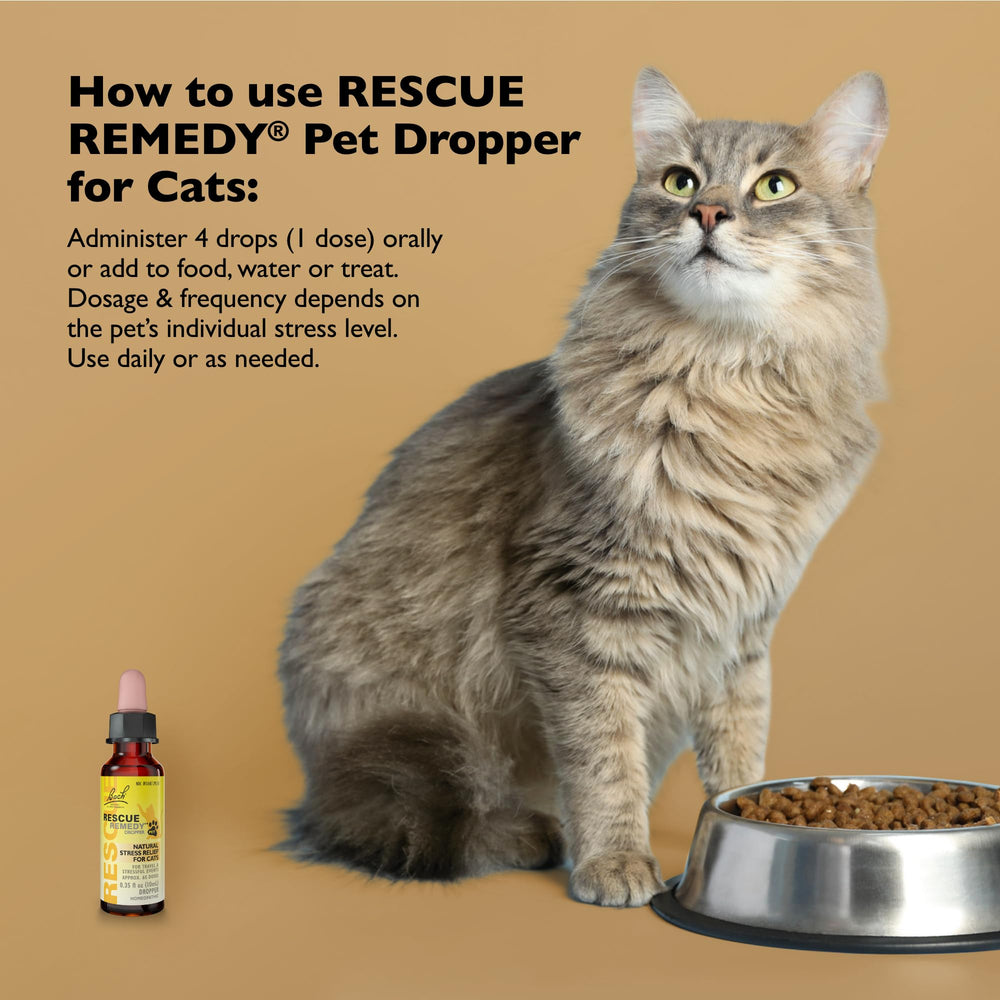 Bach Rescue Remedy Cat drops added to water for stress relief.