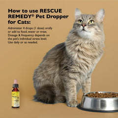 Bach Rescue Remedy Cat drops added to water for stress relief.