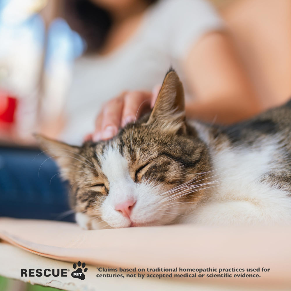 Bach Rescue Remedy Cat packaging box featuring label and ingredients.