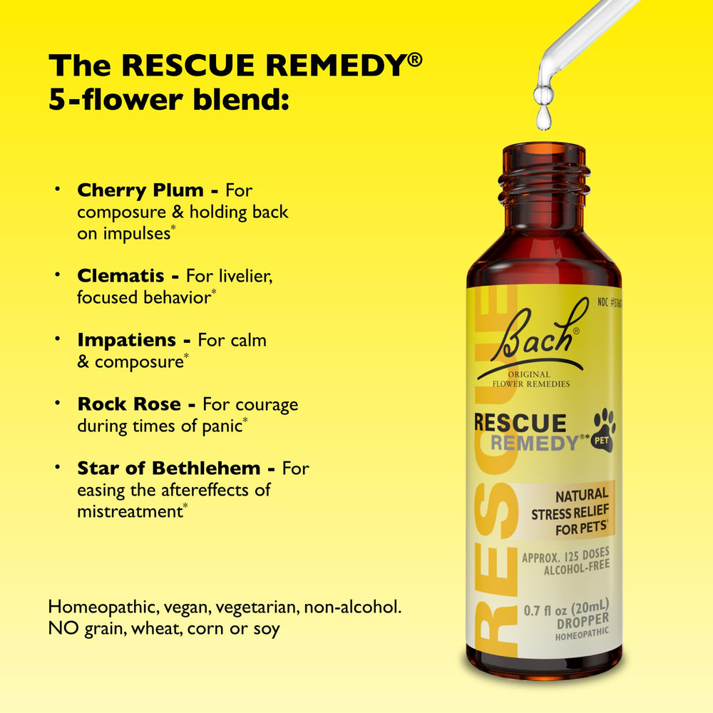 Cat at home with Rescue Remedy Pet Dropper for calm management