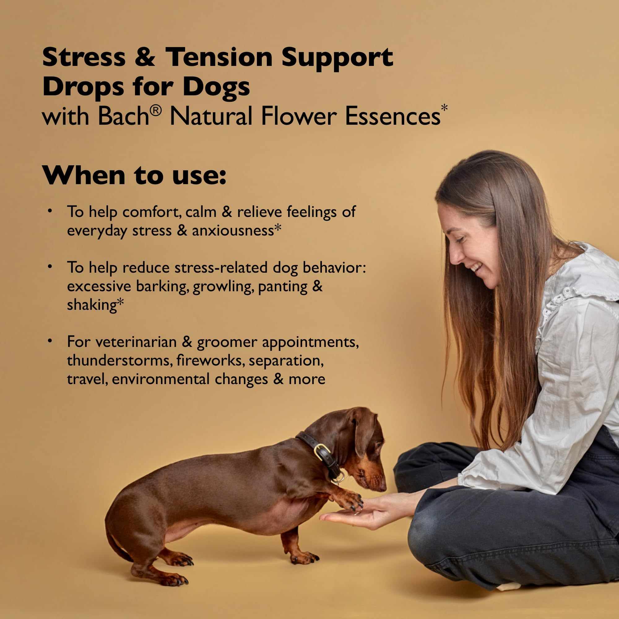 Bach Rescue Remedy Pet Dropper droplets ease daily stress for dogs.