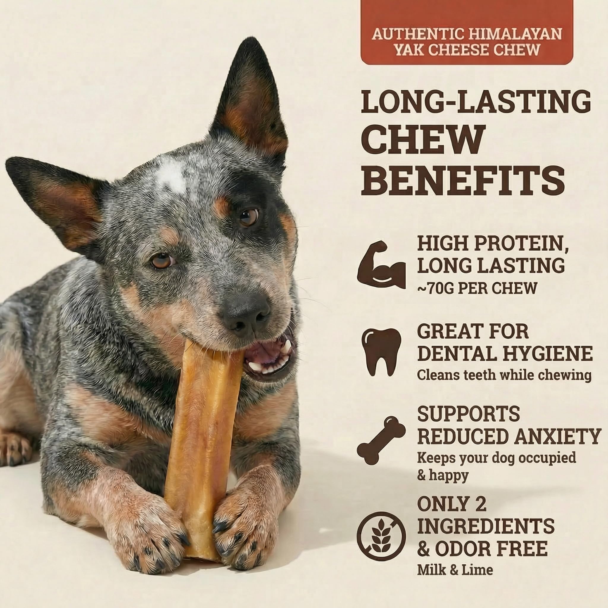Back 40 Dogs Himalayan chew close-up showing durable texture for aggressive chewers.