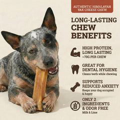 Back 40 Dogs Himalayan chew close-up showing durable texture for aggressive chewers.