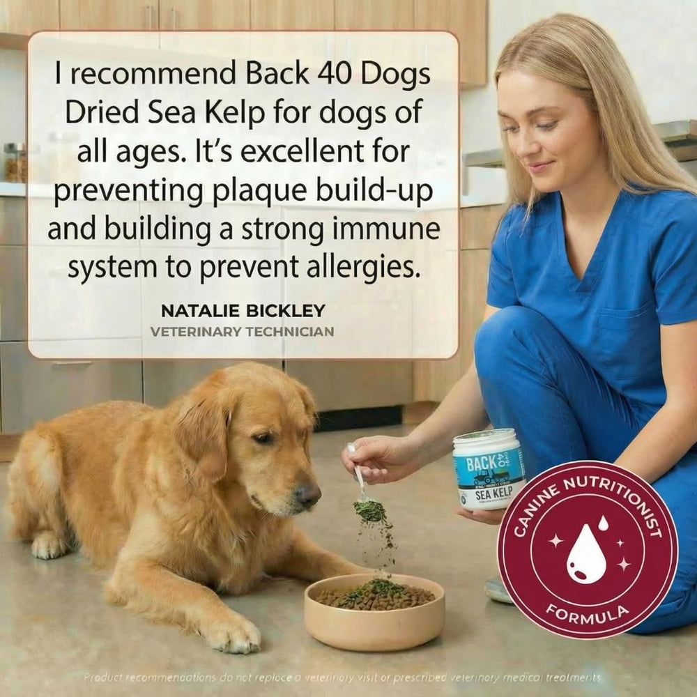 Back 40 Dogs kelp powder sprinkled on meals as a convenient topping.