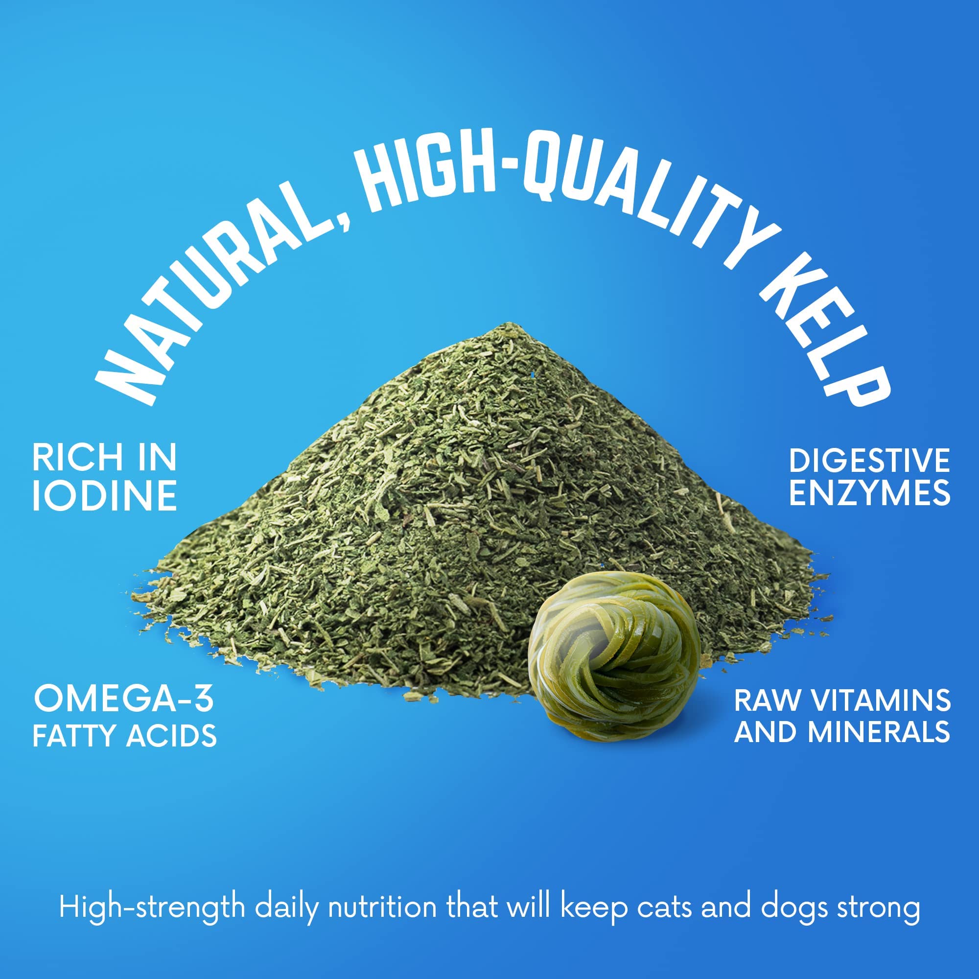 Back 40 Dogs kelp powder measuring scoop ready for dosing at mealtime.
