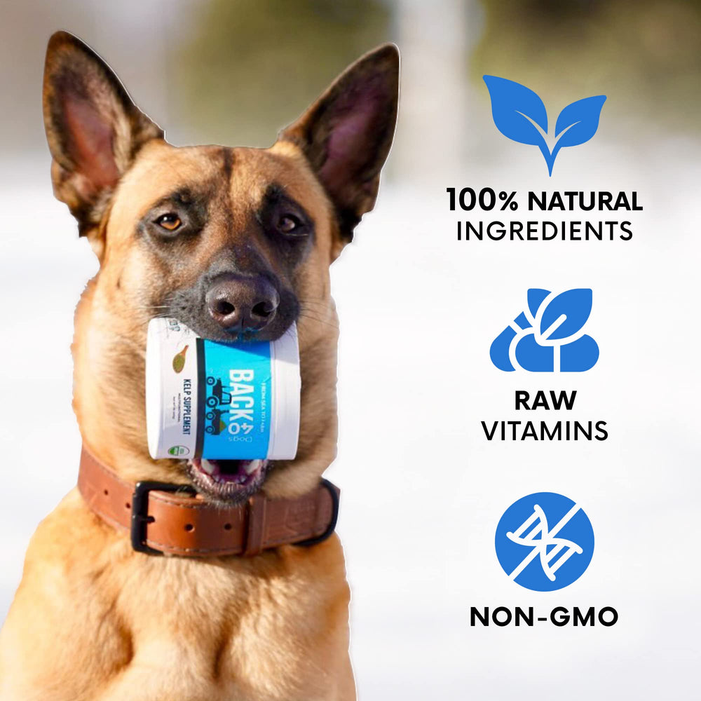 Back 40 Dogs seaweed-origin kelp powder boosts pantry prep for dinners.