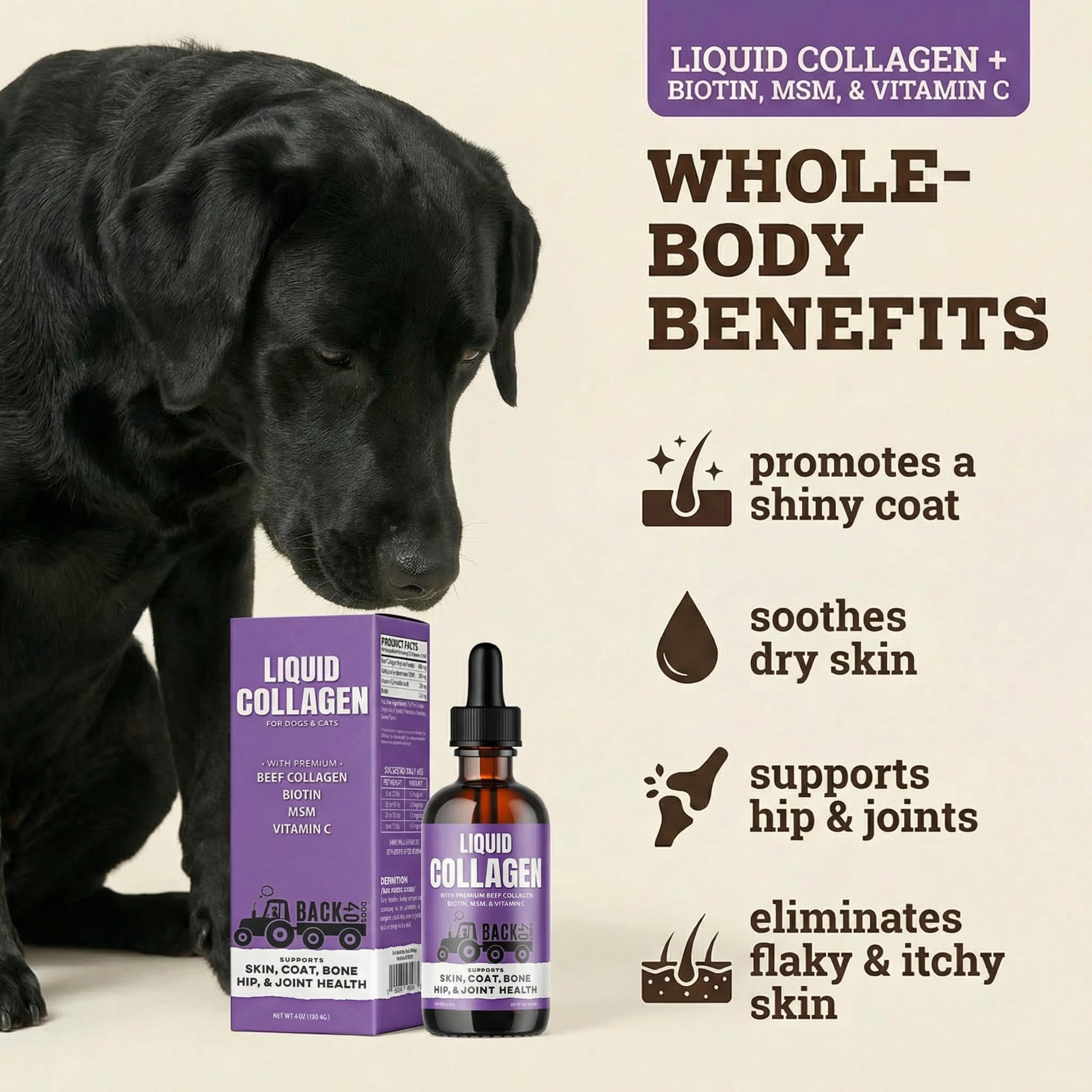Back 40 Dogs collagen supports hips and joints for comfortable daily activity.