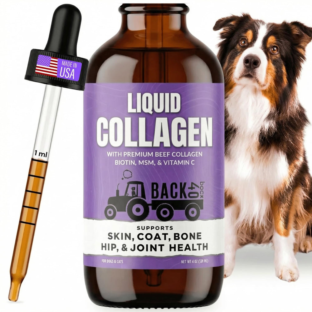 Back 40 Dogs allergy relief support with vitamin C and MSM.