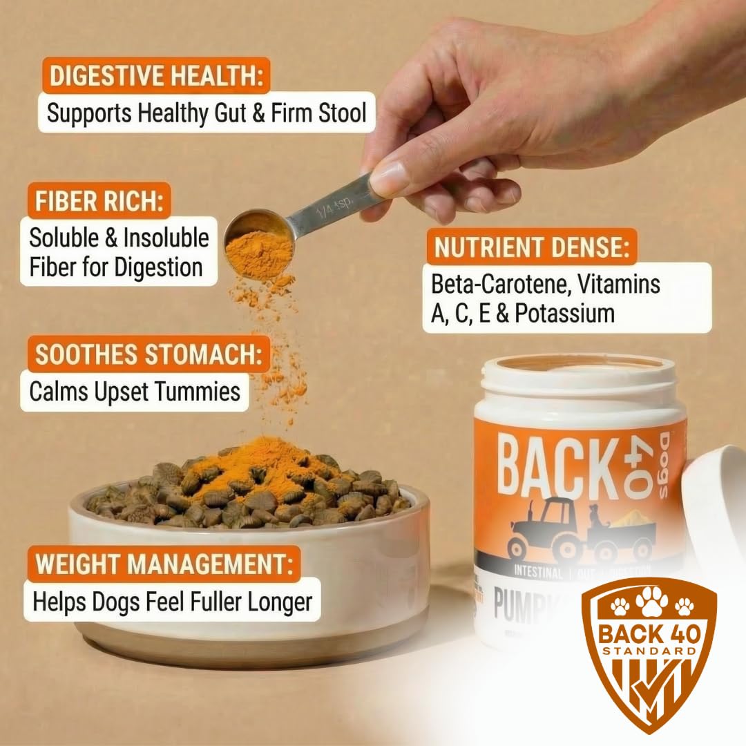 Back 40 Dogs pumpkin powder mixed with water to form a pumpkin puree