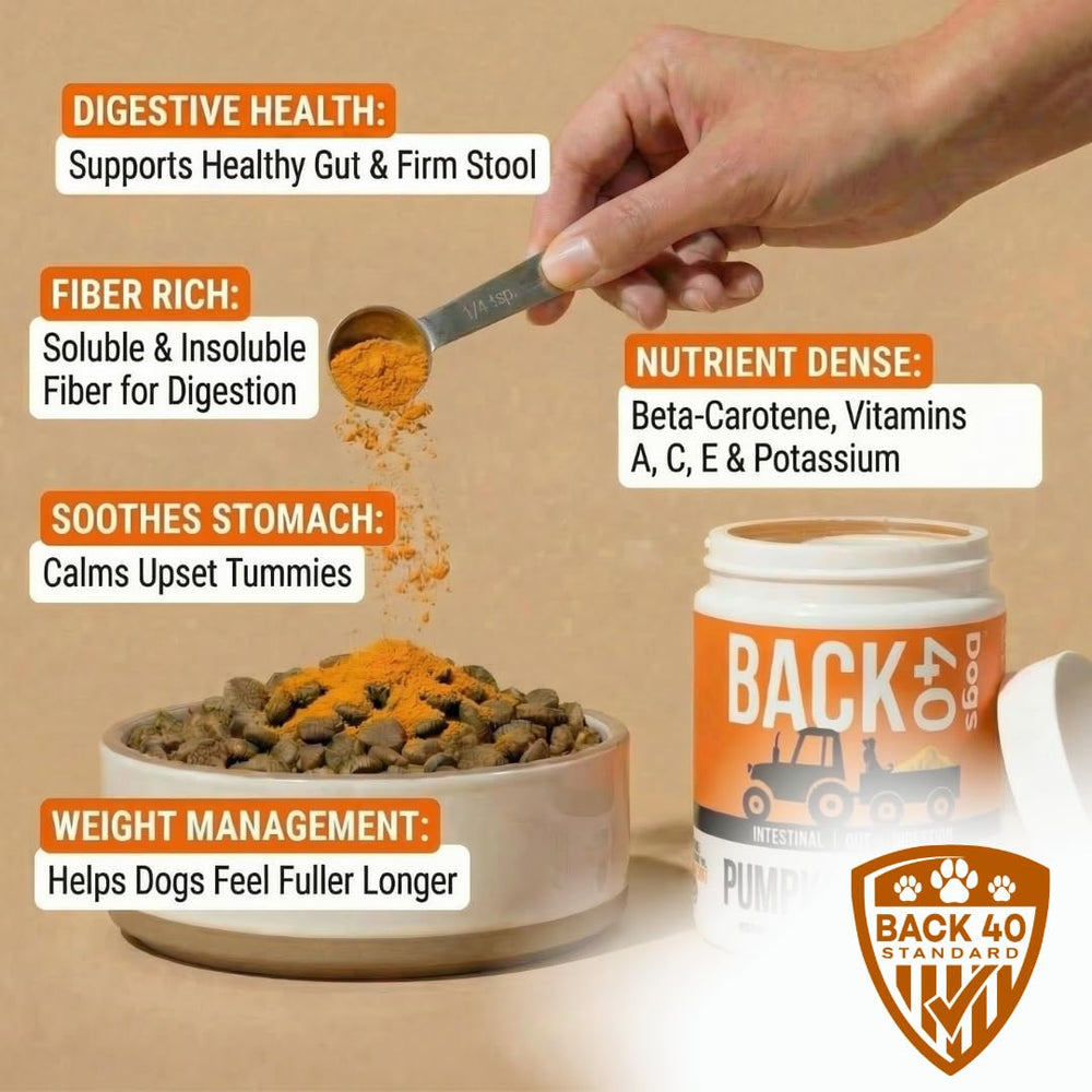 Back 40 Dogs pumpkin powder mixed with water to form a pumpkin puree