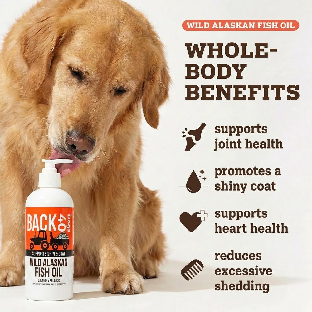 Back 40 Dogs salmon oil coat glow from wild Alaskan ingredients