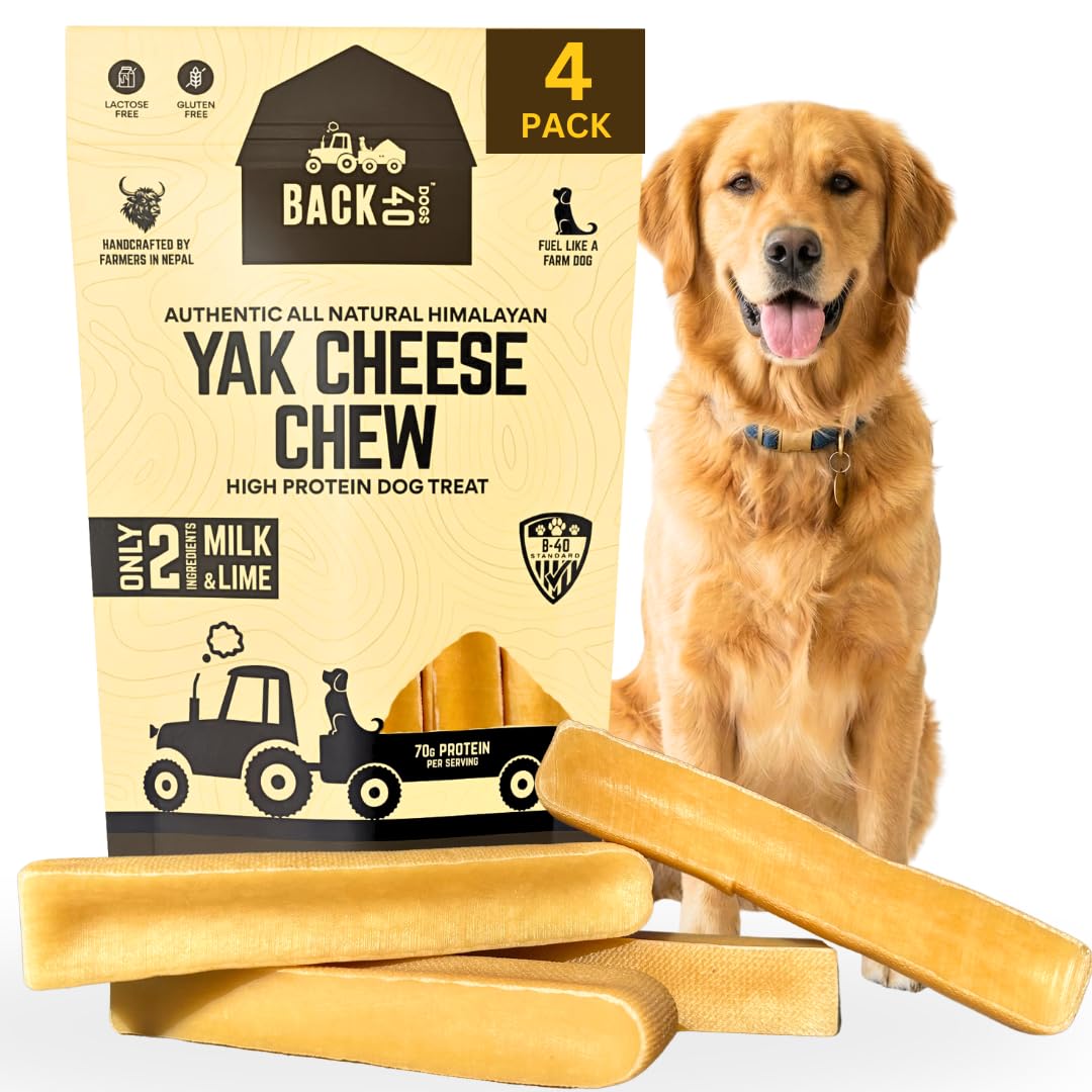 Back 40 Dogs yak cheese Himalayan dog chews 4-pack, long-lasting, odorless chew for large dogs.
