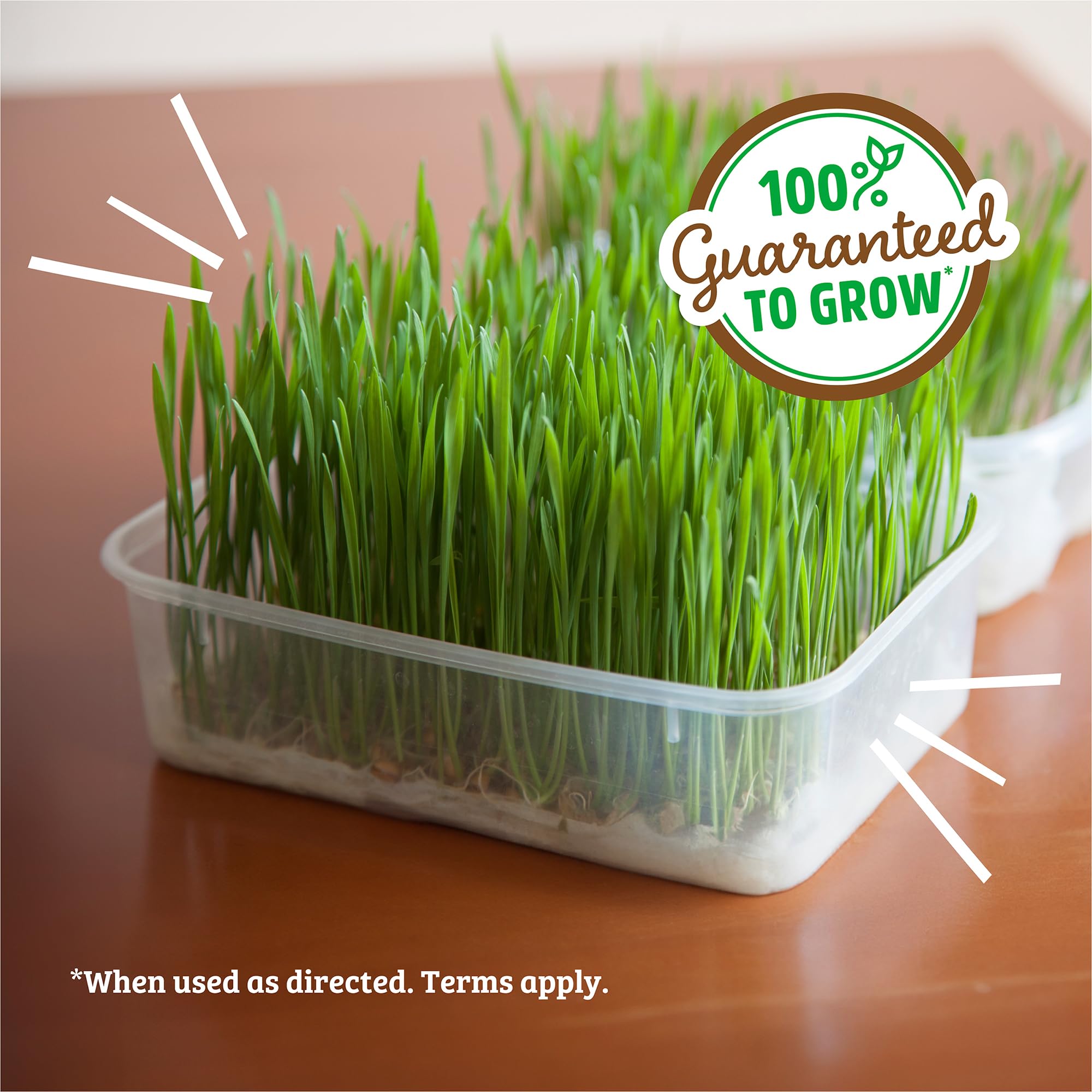 Back to the Roots 2lb bag with guaranteed growth for home growers.
