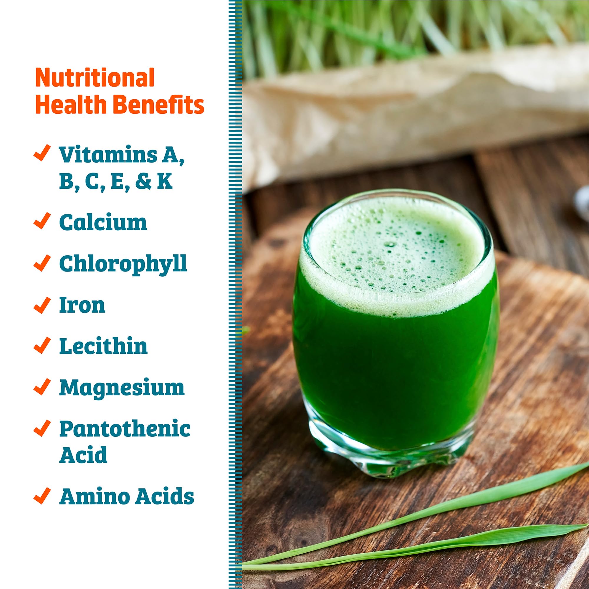 Back to the Roots cat grass wheatgrass seeds for a fiber-rich feline snack.