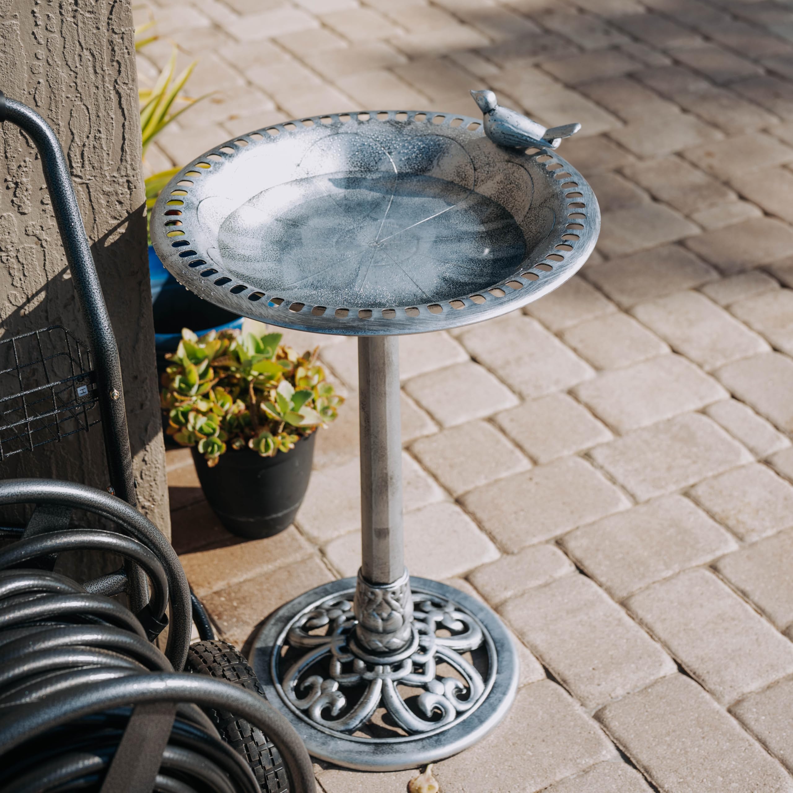 Backyard Expressions bird on edge highlights decorative detail for inviting garden spaces.
