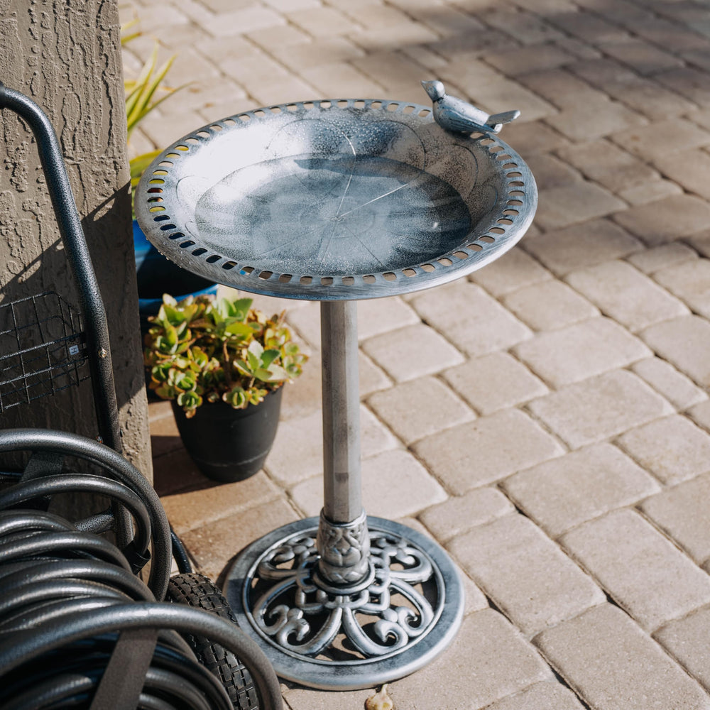 Backyard Expressions bird on edge highlights decorative detail for inviting garden spaces.