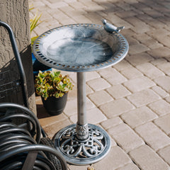 Backyard Expressions bird on edge highlights decorative detail for inviting garden spaces.