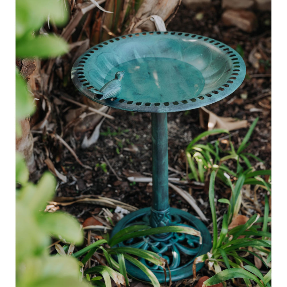 Backyard Expressions birdbath base with antiqued bronze finish adds classic charm.